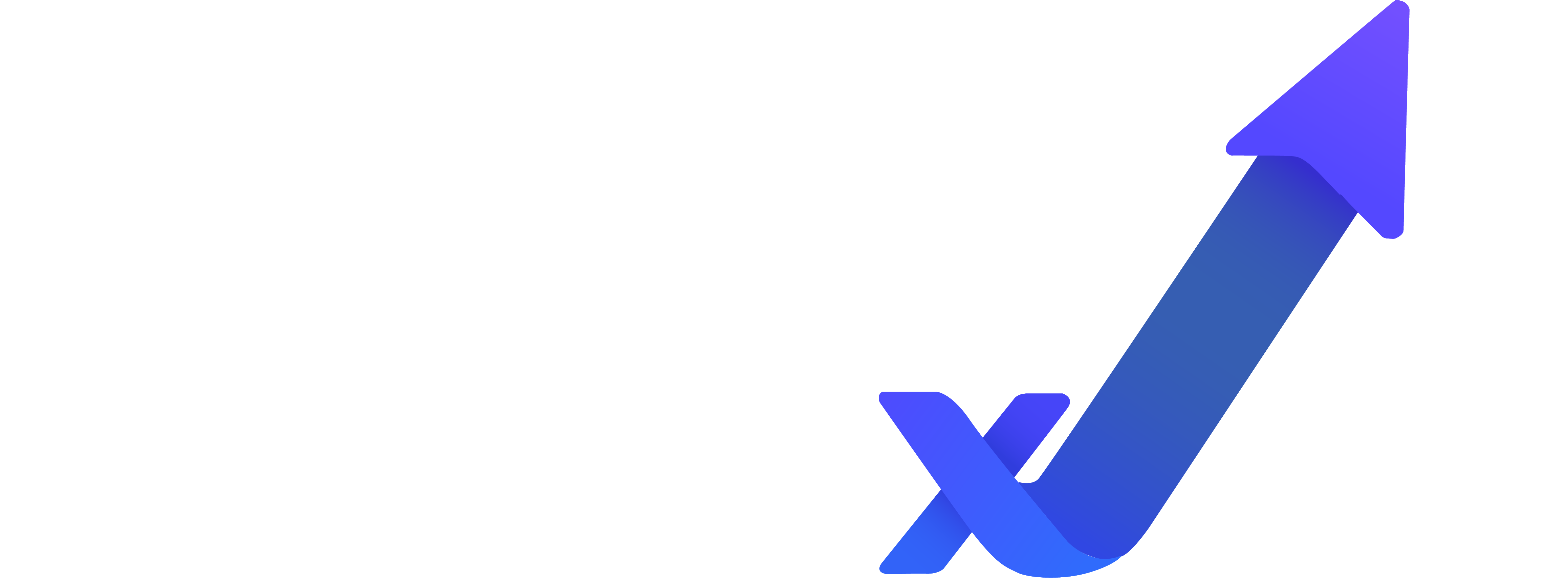 Niveau Max Logo