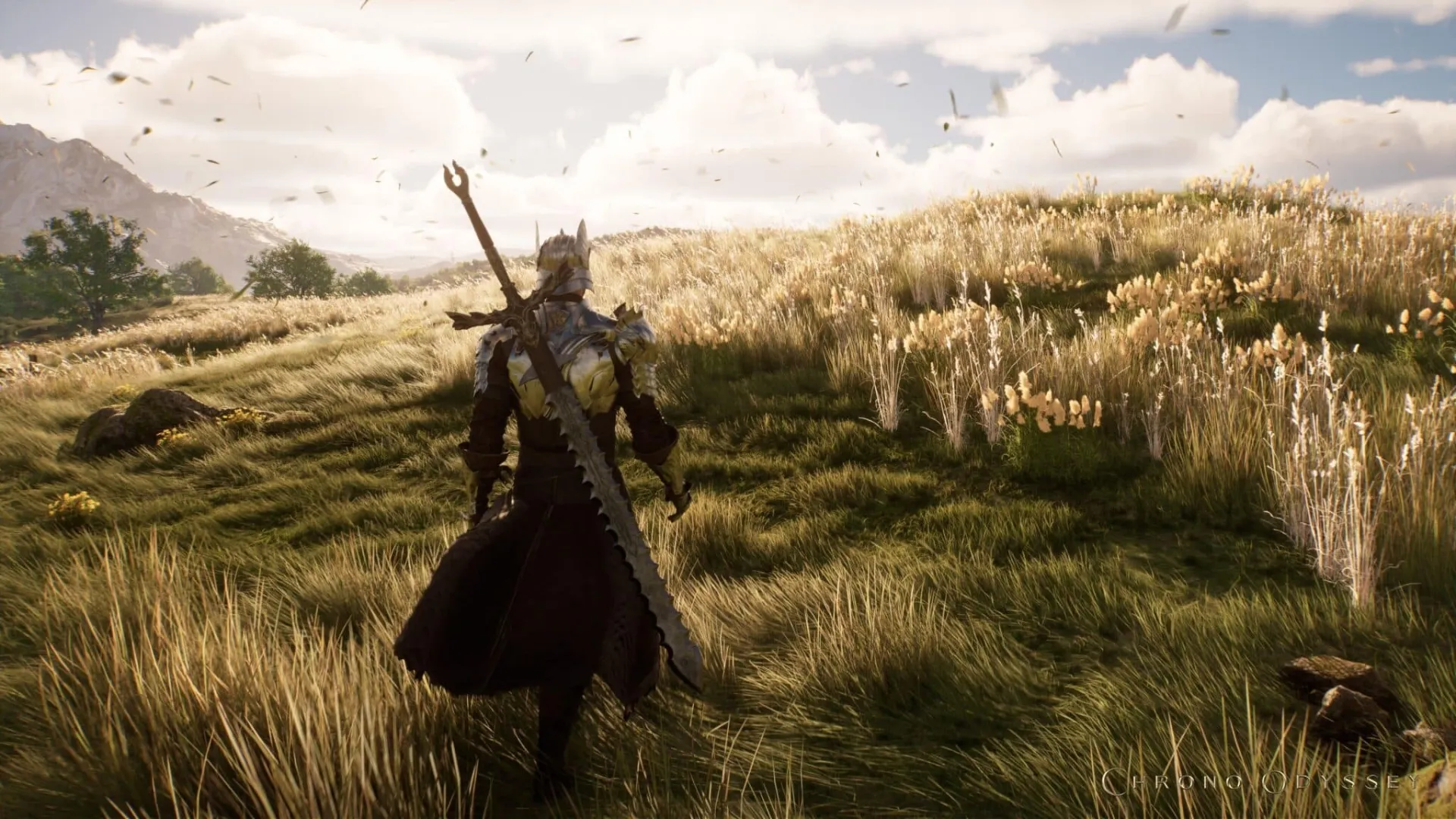 Chrono Odyssey fields